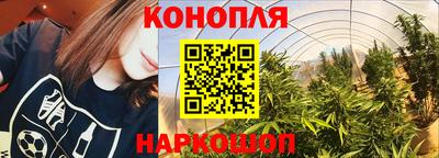 PSILOCYBIN Конаково